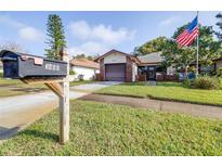 Charming single-story home with a well-manicured lawn and an American flag waving out front at 3466 Maclaren Dr, Palm Harbor, FL 34684