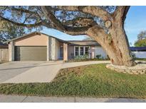 Charming ranch home with a large tree and updated landscaping at 3911 King Dr, Brandon, FL 33511