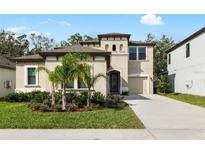 Charming two-story home featuring a well-manicured lawn and beautifully landscaped yard with vibrant palm trees at 14672 Horse Trot Rd, Lithia, FL 33547