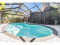 Inviting screened pool with patio and lush landscaping offers a private outdoor oasis at 4595 Northwood Ter, Sarasota, FL 34234