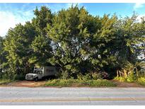 A home partially obscured by lush, mature trees and landscaping at 2733 34Th N Ave, St Petersburg, FL 33713