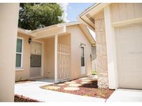 Front entrance of the home with walkway and landscaping at 6741 Willits Ave, New Port Richey, FL 34655