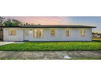 Updated single-story home with a well-maintained lawn and modern facade at 4916 Carlyle Rd, Tampa, FL 33615