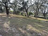 Picturesque land featuring mature trees draped with Spanish moss, offering a serene setting and natural beauty at 1319 Vance Rd, Plant City, FL 33566