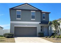 Two story home features a gray exterior, well manicured lawn, and a two car garage at 13621 Willow Bluestar Loop, Riverview, FL 33579
