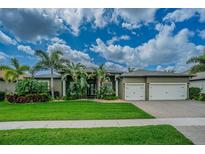 Beautiful single-story home featuring a well-manicured lawn, mature palm trees, and a spacious three-car garage at 3815 Gaviota Dr, Sun City Center, FL 33573