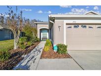 Charming home exterior with a well-manicured lawn and an attached garage at 2932 Tanglewylde Dr, Land O Lakes, FL 34638