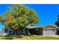 Charming single-story home featuring an attached garage, mature trees, and a well-maintained lawn at 3909 W Eden Roc Cir, Tampa, FL 33634
