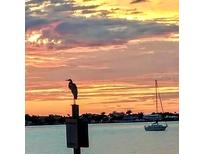 Scenic waterfront view with colorful sunrise, sailboat, and heron perched on a channel marker at 100 Bluff View Dr # 205C, Belleair Bluffs, FL 33770