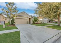 Charming single-story home with a well-maintained lawn and a two-car garage at 814 Fern Leaf Dr, Ruskin, FL 33570