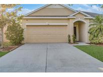 Beige two car garage door with manicured green grass alongside a concrete driveway at 814 Fern Leaf Dr, Ruskin, FL 33570