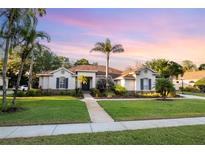 Charming home with a manicured lawn, professional landscaping, and a lighted walkway leading to the front door at 6020 Kestrel Point Ave, Lithia, FL 33547