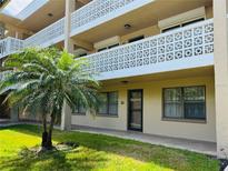 Exterior shot of a two-story condo unit with a small palm tree in the front at 4920 Locust Ne St # 116, St Petersburg, FL 33703