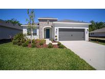 Charming single-Gathering home with a manicured lawn, stone accents, and a two-car garage at 11892 Richmond Trl, Parrish, FL 34219