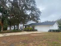 Charming two-story home with a spacious front yard and beautiful mature trees, showcasing curb appeal at 6919 Greenhill Pl, Tampa, FL 33617