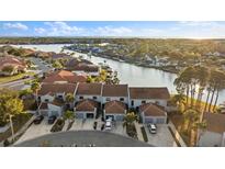 Scenic aerial view of waterfront townhomes with garages and private docks on a sunny day at 6320 Grand Bahama Cir # 6320, Tampa, FL 33615