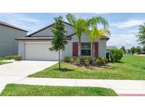 Well-maintained single-Gathering home with a lush green lawn, landscaping, and a two-car garage at 9805 Lemon Drop Loop, Sun City Center, FL 33573