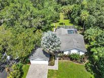 Stunning aerial view of the home's screened pool and lush, tropical landscaping on a spacious lot at 11624 Monette Rd, Riverview, FL 33569