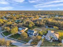 Expansive aerial view of a community, highlighting the lush landscaping and serene environment, under a blue sky at 3870 155Th E Ave, Parrish, FL 34219
