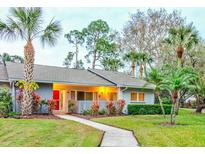 Charming single-story home with vibrant landscaping and a welcoming walkway leading to the front door at 10 Aster Pl, Oldsmar, FL 34677