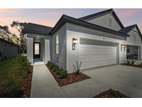 Charming single-Gathering home featuring a two-car garage, dark roof, and well-maintained landscaping at 3739 Nandina Cir, Sun City Center, FL 33573
