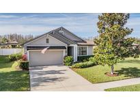 Charming single-story home featuring well-manicured lawn and attached two-car garage at 19724 Post Island Loop, Land O Lakes, FL 34638