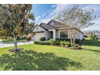 Charming one-story home with a manicured lawn, attached garage, and beautiful landscaping under a bright blue sky at 19724 Post Island Loop, Land O Lakes, FL 34638