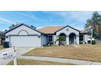 Charming single-story home featuring a two-car garage, neutral stucco exterior and well-maintained lawn at 4209 Amber Ridge Ln, Valrico, FL 33594