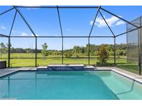 Sparkling screened pool with a peaceful view of the green pastures beyond at 14215 Swiss Bridge Dr, Riverview, FL 33579