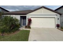 Charming single-story home featuring a two-car garage and well-manicured lawn at 6684 Devlin Ln, Wesley Chapel, FL 33545