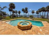 Inviting pool area features a built-in spa, tiled deck, and serene water views for outdoor enjoyment at 316 Shore E Dr, Oldsmar, FL 34677