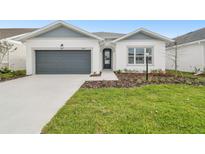 Charming single-Gathering home featuring a well-manicured lawn, gray garage door, and light gray accents at 11341 Hardwood Hammock Ln, Riverview, FL 33569