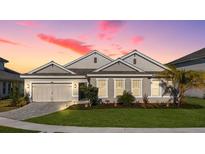 Charming single-story home showcasing manicured landscaping and an attached two-car garage at 33843 Galley Way, Wesley Chapel, FL 33543