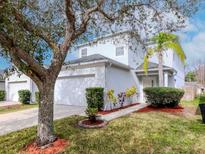 Two-story home featuring an attached garage, a well-maintained lawn, landscaping and a walkway to the front door at 25925 Terrawood Loop, Land O Lakes, FL 34639