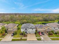 Expansive aerial view of the home, highlighting the landscape and community at 5045 Ivory Stone Dr, Wimauma, FL 33598