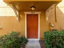 Welcoming front entrance featuring a rust colored door, manicured landscaping, and a well-lit porch at 4734 Chatterton Way, Riverview, FL 33578