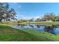 Scenic pond view with lush greenery, reflecting the sky and surrounding homes with white picket fences at 27045 Firebush Dr, Wesley Chapel, FL 33544