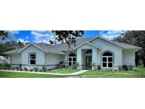 Charming single-story home with a well-manicured lawn and inviting entrance, perfect for curb appeal at 7425 245Th E St, Myakka City, FL 34251