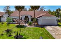 Charming single-story home with well-manicured lawn and mature palm trees at 8208 Rhanbuoy Rd, Spring Hill, FL 34606