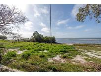 Backyard view with waterfront access and lush, natural surroundings at 2028 Blossom S Way, St Petersburg, FL 33712