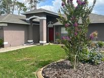 Charming single-story home featuring a well-manicured lawn, a decorative red front door, and mature landscaping at 11138 Brooklawn Dr, Hudson, FL 34667