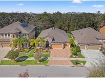 Beautiful single-story home featuring manicured landscaping and a brick paved driveway to the two-car garage at 13711 Moonstone Canyon Dr, Riverview, FL 33579