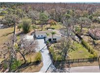 Stunning aerial view of a landscaped home with an extra-long driveway and lots of surrounding trees at 8376 Sycamore Dr, New Port Richey, FL 34654