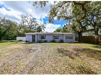 Charming single-story home featuring a pleasant color scheme and a well-maintained front lawn at 3302 W Van Buren Dr, Tampa, FL 33611