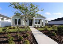 Charming single-story home with a landscaped front yard and a welcoming walkway to the front door at 28784 Rambutan Dr, Wesley Chapel, FL 33543