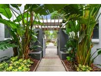 Inviting entrance to Charles Court with lush tropical landscaping and a charming pergola at 337 4Th S Ave, St Petersburg, FL 33701