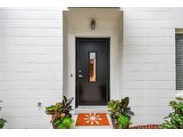 Modern front door with a window, enhanced by decorative plants and doormat at 337 4Th S Ave, St Petersburg, FL 33701