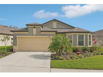 Charming single-Gathering home with a two-car garage and well-maintained landscaping at 7580 Pool Compass Loop, Wesley Chapel, FL 33545