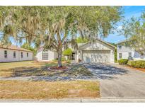 Charming single-story home with a well-manicured lawn and mature tree in a quiet neighborhood at 13216 Parkhurst Ct, Riverview, FL 33569