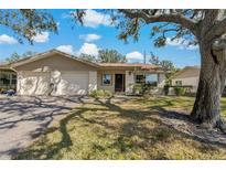 Charming single-story home featuring a well-manicured lawn, attached garage, and mature shade tree in a lovely neighborhood at 1541 Heather Ridge Blvd # 1541, Dunedin, FL 34698